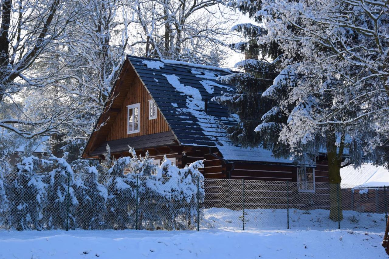 Vila Roubenka Štěpánka Svratka Exteriér fotografie